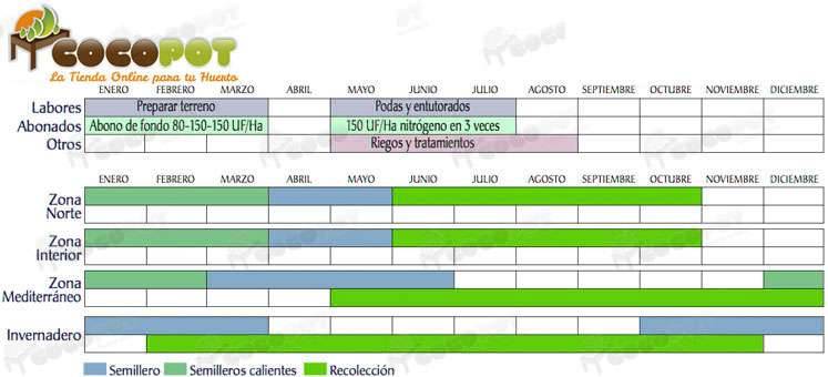 Calendario Siembra Semillas Ecológicas Calendario Siembra Semillas Ecológicas