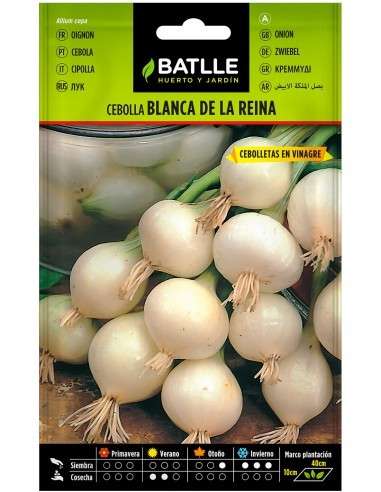 Semillas de Cebolla Blanca de la Reina 4gr.