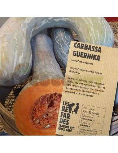 Semillas Ecológicas Calabaza Vasca Guernika