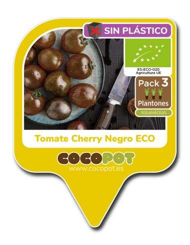 3u. Plantel Ecológico Tomate Cherry Negro