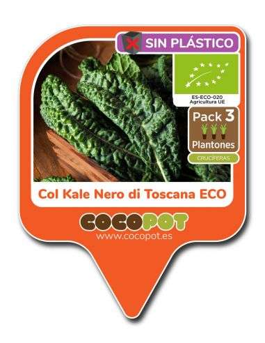 3u. Plantel Ecológico Col Kale Nero di Toscana