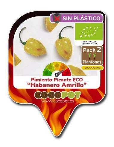 2u. Plantel Ecológico Pimiento Picante Habanero Amarillo