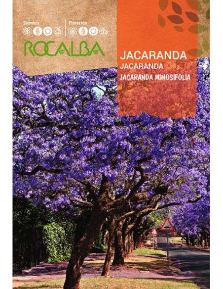 Semillas de Jacaranda 0,5g. (Jacaranda mimosifolia)