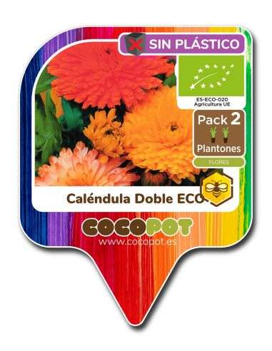 2u. Plantel Ecológico Caléndula Doble