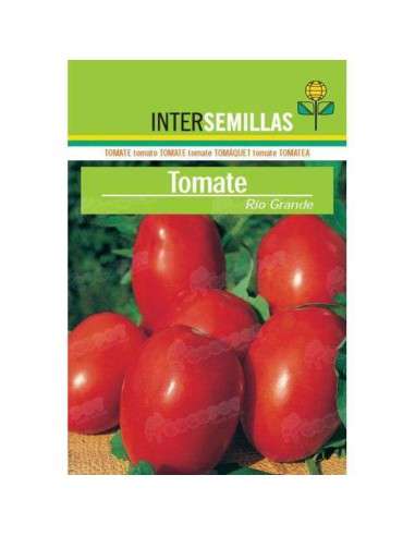Semillas Tomate Rio Grande 4gr. INTERSEMILLAS - 1