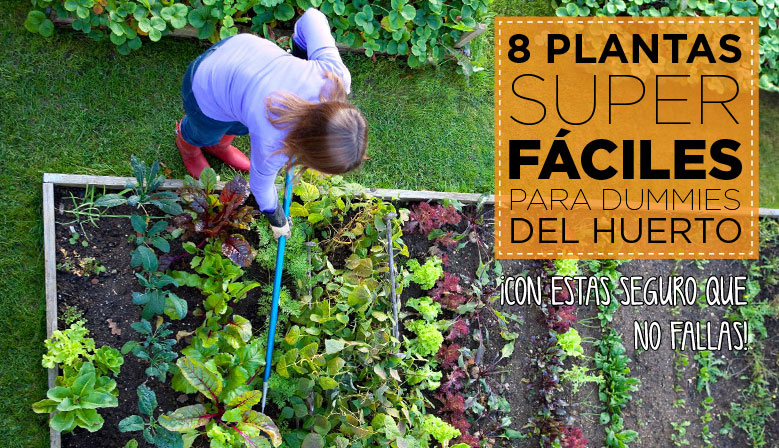 8 cultivos fáciles