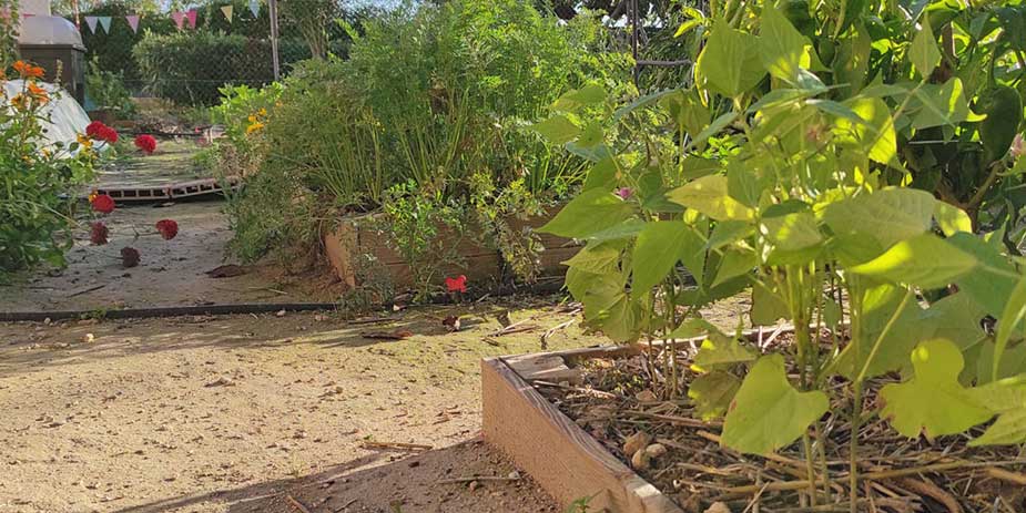 Conoces los sistemas más económicos para ocultar tu terraza? %