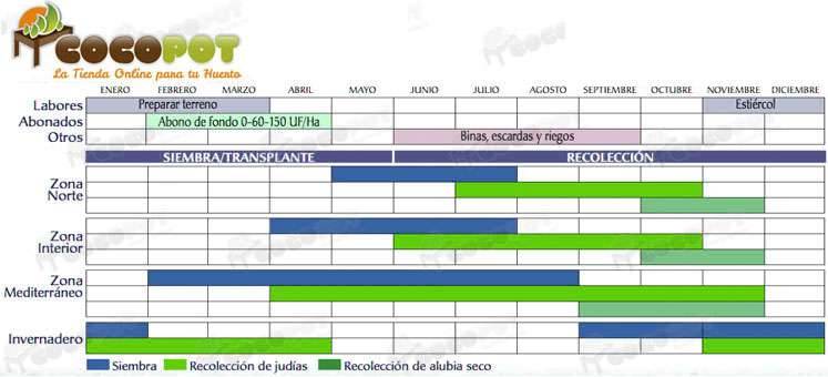 calendario siembra judías