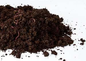 lombriz californiana vermicompost huerto urbano cocopot