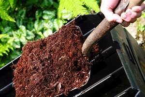 preparación del terreno en Mayo