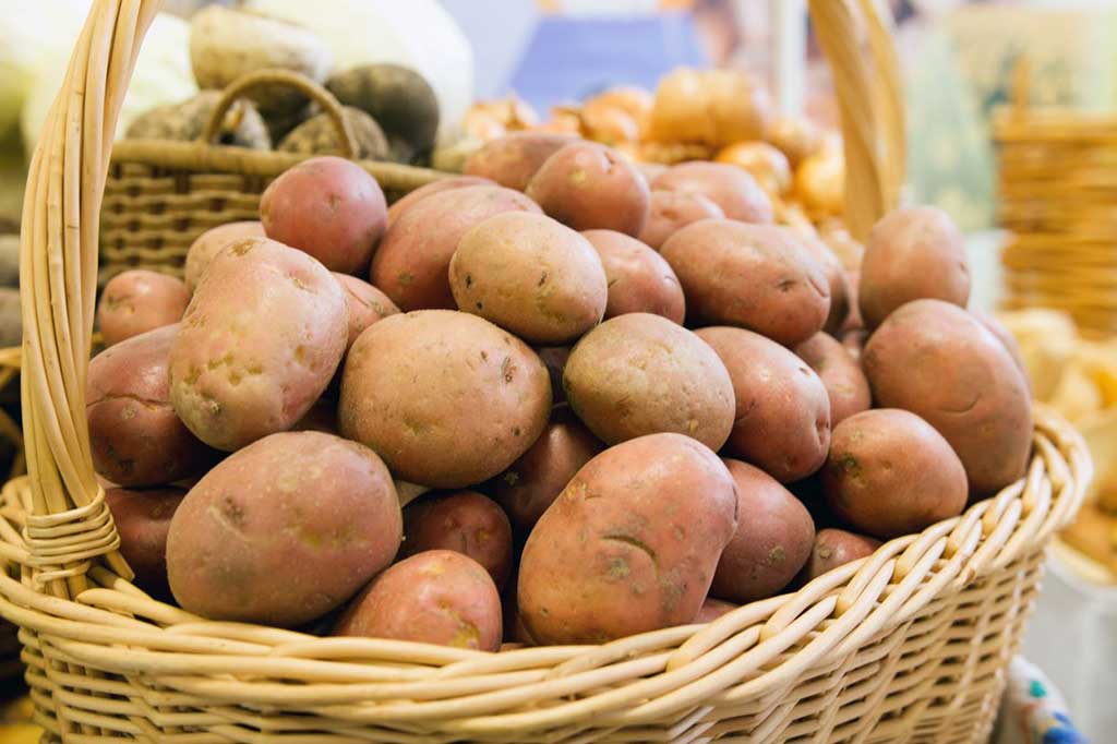 Como Conservar las patatas del huerto más tiempo