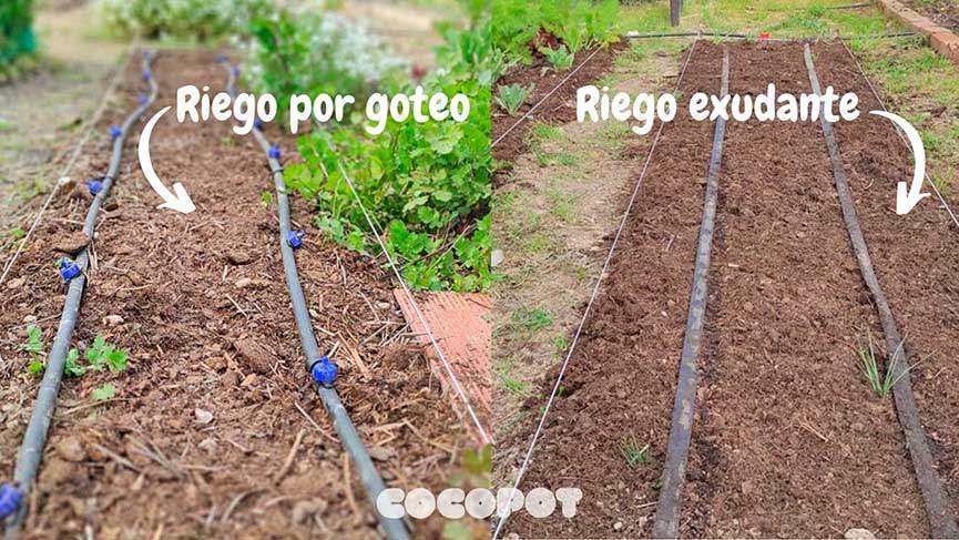 Cómo elegir el mejor sistema de riego para tu jardín - Foto 1