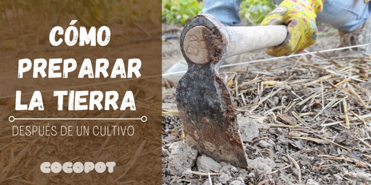 Cómo preparar la tierra después de un cultivo anterior